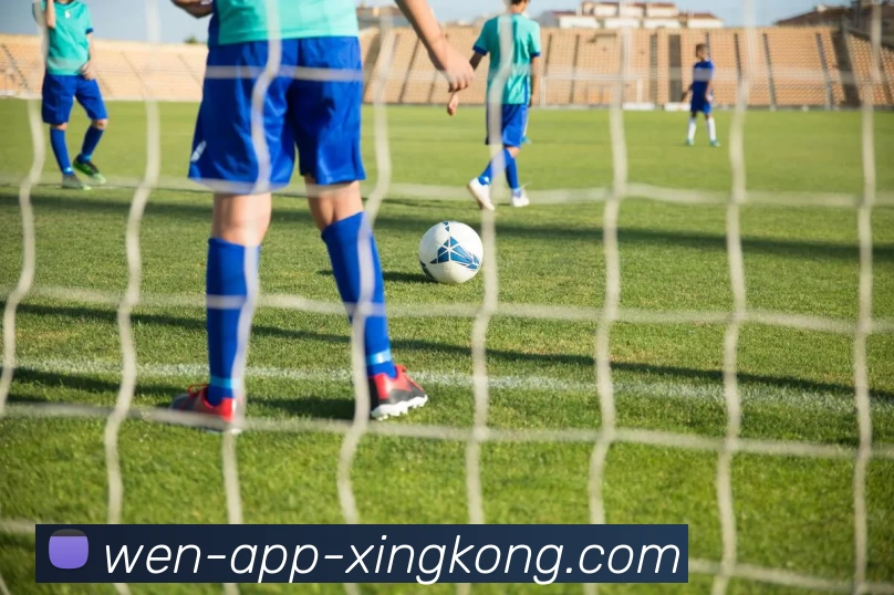 星空体育官网APP 高清赛事图